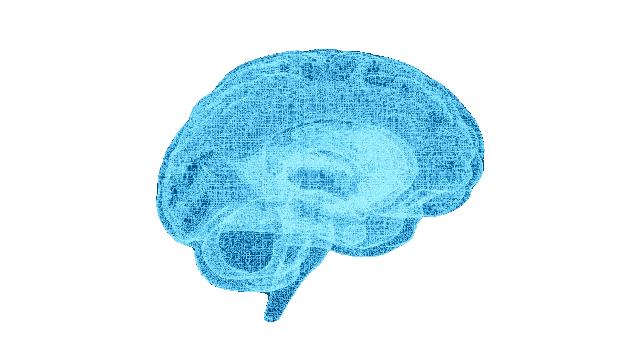 Creier 3D — scanare BrainMap