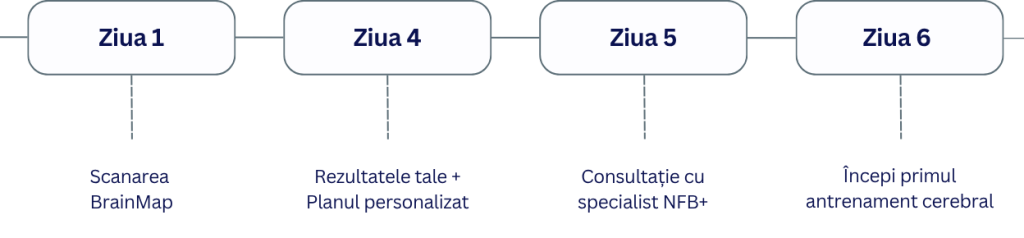 Brainmap Timeline