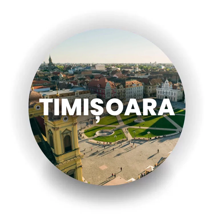 Institutul BrainMap Timișoara