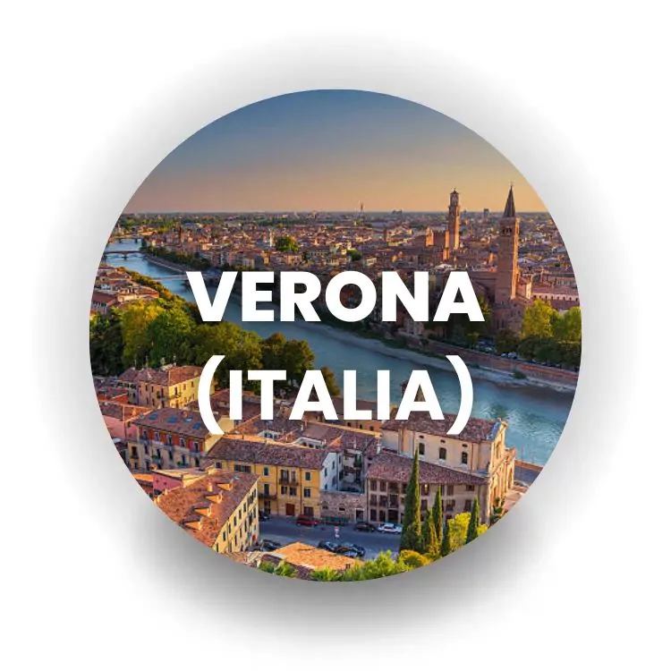 Institutul BrainMap Verona Italia